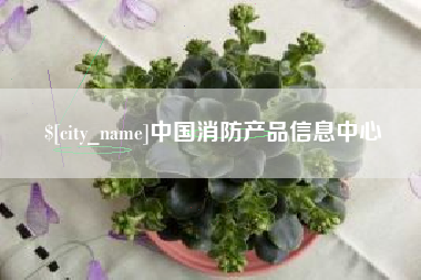 利津中国消防产品信息中心