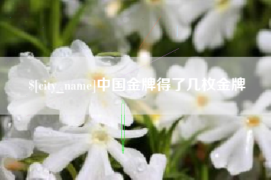 利津中国金牌得了几枚金牌