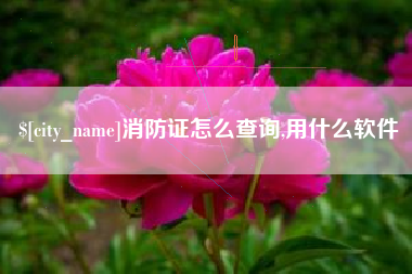 利津消防证怎么查询,用什么软件