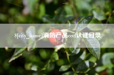 利津消防产品cccf认证目录