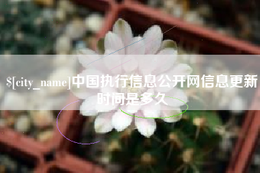 利津中国执行信息公开网信息更新时间是多久