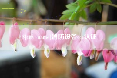 利津消防设备ccc认证