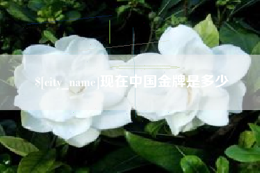 利津现在中国金牌是多少