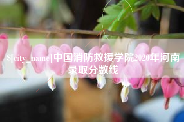 利津中国消防救援学院2020年河南录取分数线