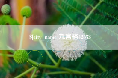 利津九宫格42633
