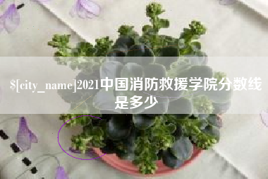 利津2021中国消防救援学院分数线是多少