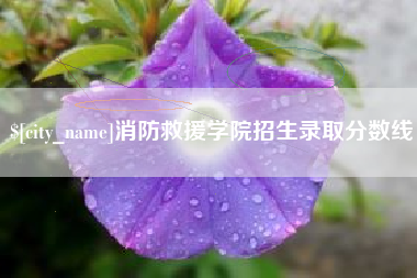 利津消防救援学院招生录取分数线