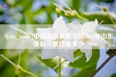 利津中国消防救援学院2021年山东录取分数线是多少
