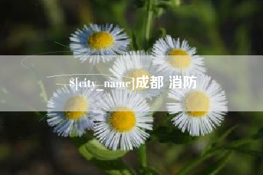 利津成都 消防