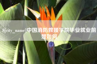 利津中国消防救援学院毕业就业前景如何