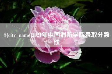 利津2021年中国消防学院录取分数线