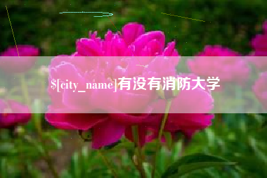 利津有没有消防大学
