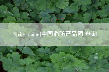 利津中国消防产品网 查询