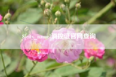 利津消控证官网查询