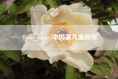利津中国第九金回放