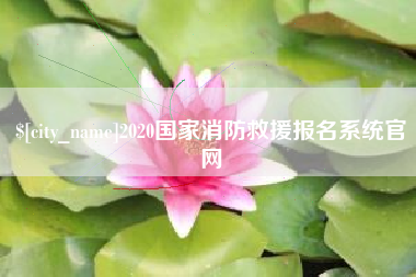 利津2020国家消防救援报名系统官网