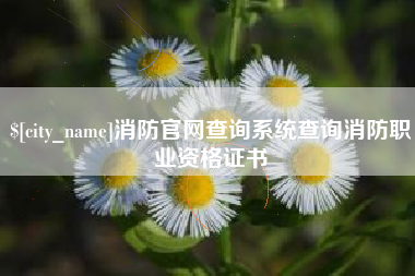 利津消防官网查询系统查询消防职业资格证书