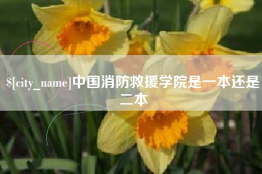 利津中国消防救援学院是一本还是二本