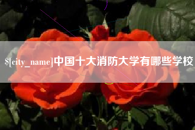 利津中国十大消防大学有哪些学校