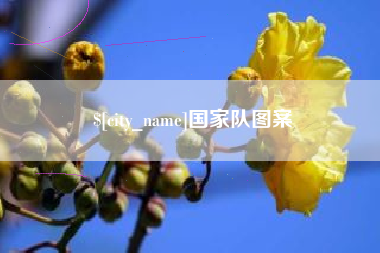 利津国家队图案