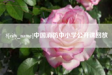 利津中国消防中小学公开课回放