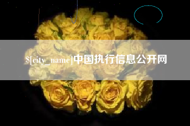 利津中国执行信息公开网
