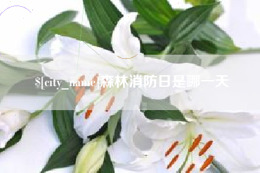 利津森林消防日是哪一天