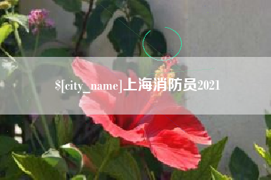 利津上海消防员2021