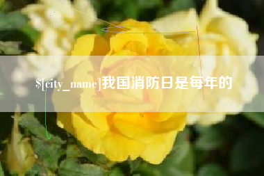 利津我国消防日是每年的
