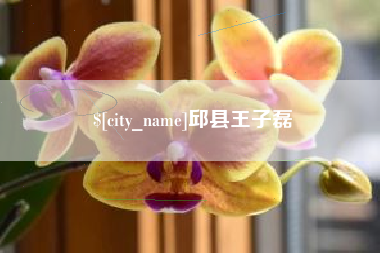 利津邱县王子磊