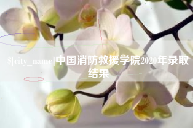 利津中国消防救援学院2020年录取结果