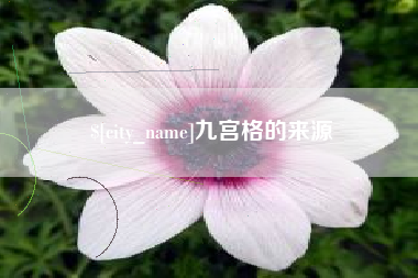 利津九宫格的来源