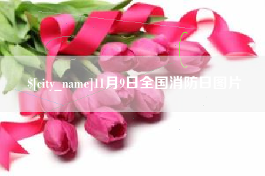 利津11月9日全国消防日图片