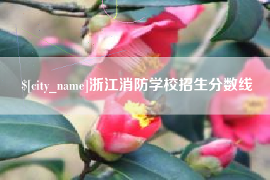 利津浙江消防学校招生分数线