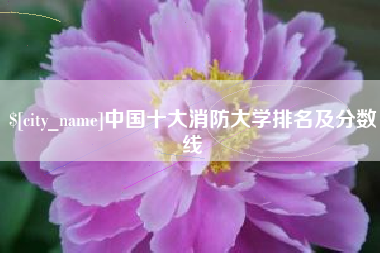 利津中国十大消防大学排名及分数线