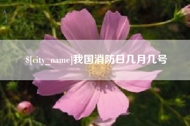 利津我国消防日几月几号