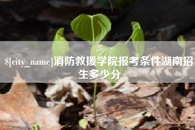 利津消防救援学院报考条件湖南招生多少分