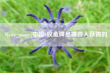 利津中国6枚金牌是哪些人获得的