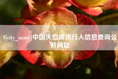 利津中国失信被执行人信息查询公开网址