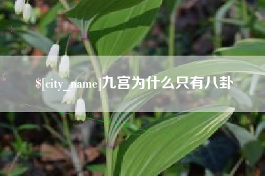利津九宫为什么只有八卦