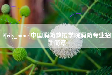 利津中国消防救援学院消防专业招生简章