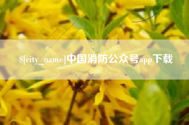利津中国消防公众号app下载