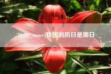 利津我国消防日是哪日