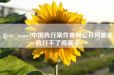 利津中国执行案件查询公开网都是执行不了得案子