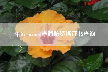 利津查消防资格证书查询
