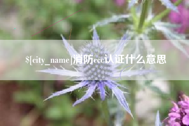 利津消防ccc认证什么意思