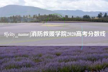 利津消防救援学院2020高考分数线