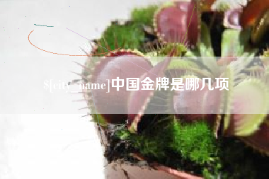 利津中国金牌是哪几项