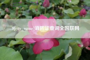 利津消防证查询全国联网