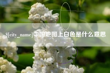 利津中国地图上白色是什么意思